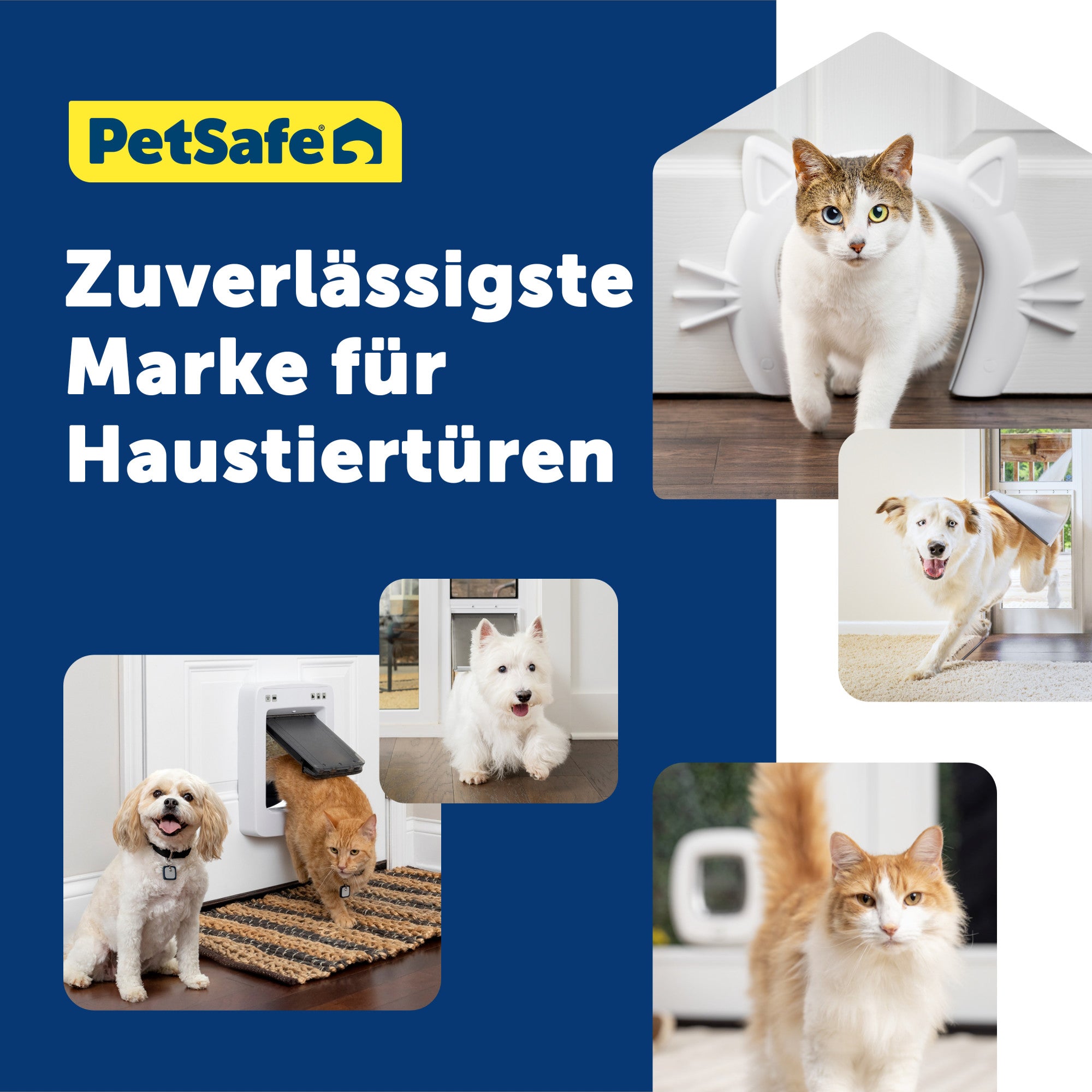 Montageadapter für Tür für große Katzen