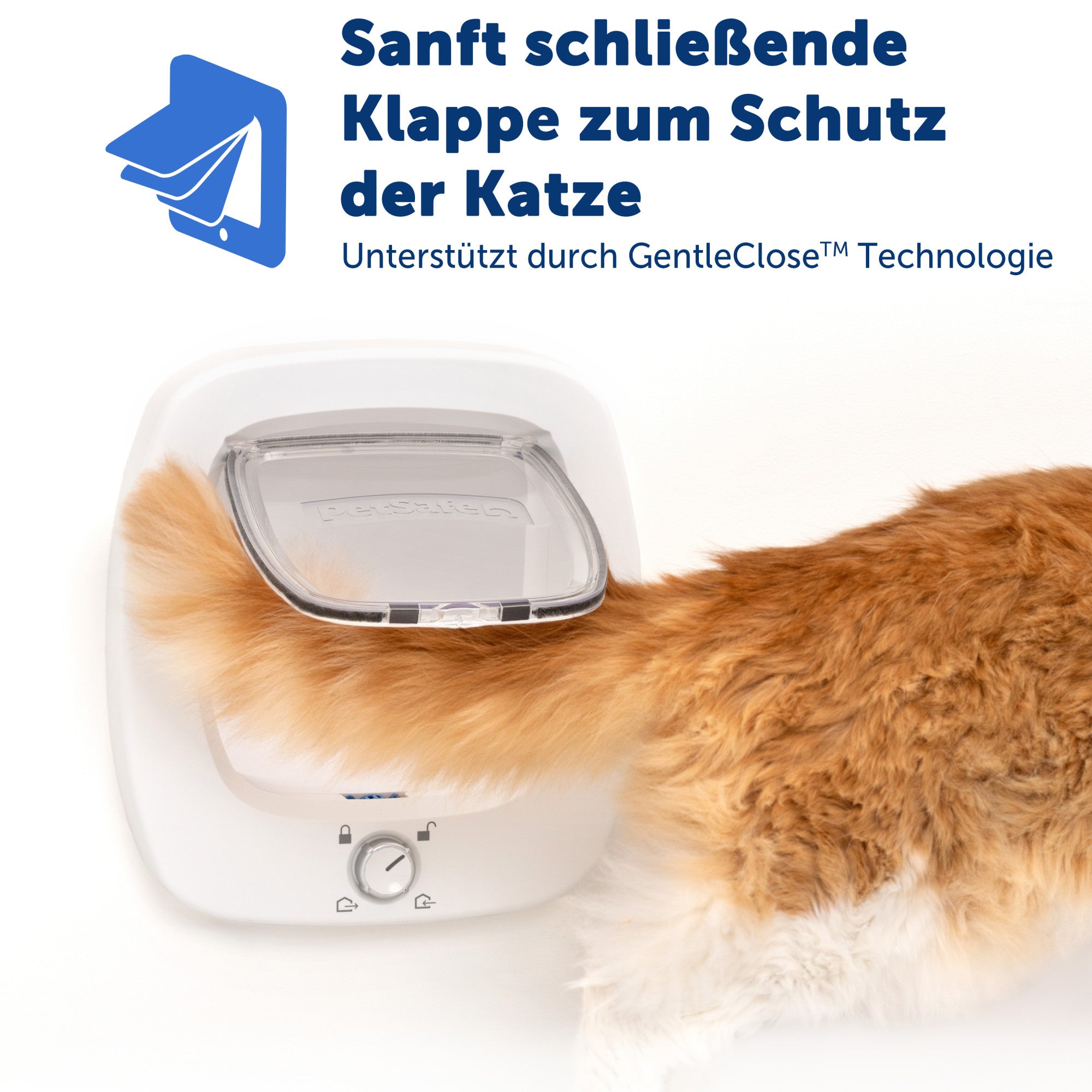 Tür für große Katzen