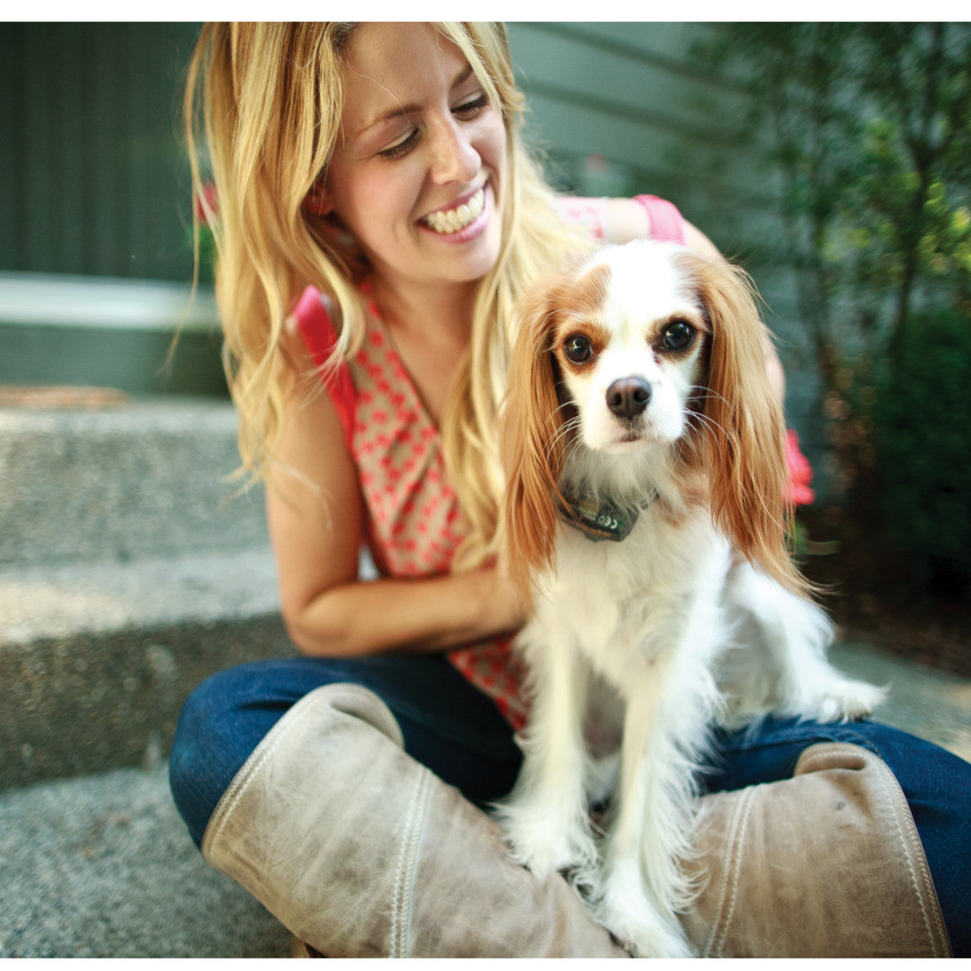 Add-A-Dog® zusätzliches Empfängerhalsband für kleine Hunde